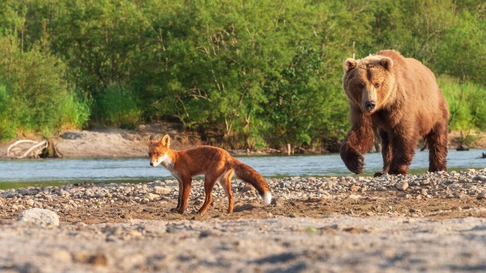 Кадр из фильма