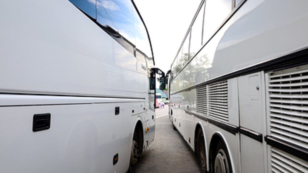    Фото: Elena Mayorova/Globallookpress