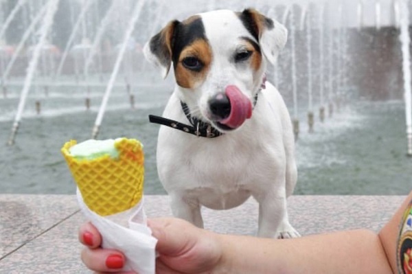 Фото: РИА Новости/Александр Гальперин