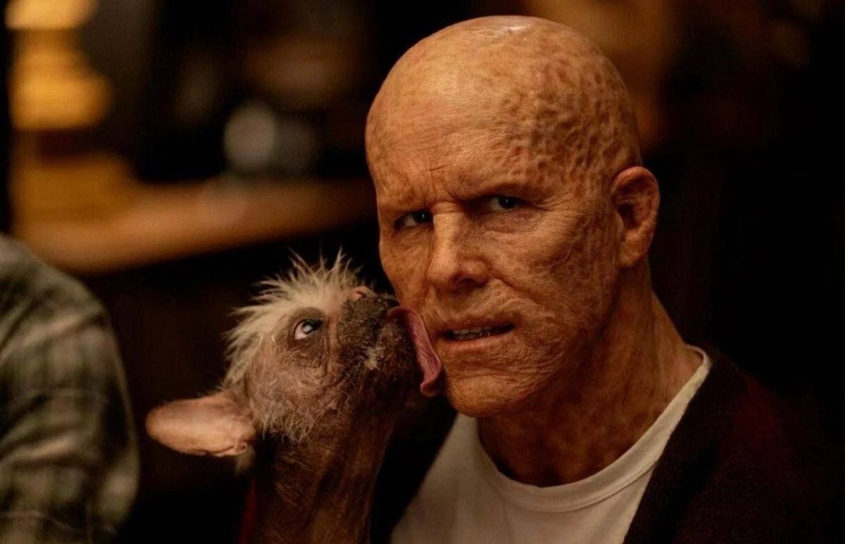 Фото © «Дэдпул и Росомаха» режиссёр Шон Леви / Kinopoisk.ru