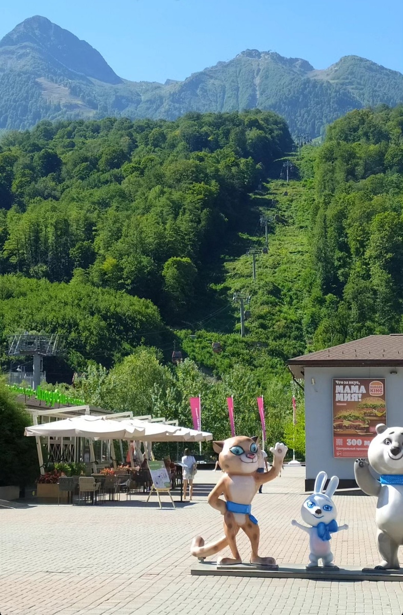 Курорт Красная поляна 540 