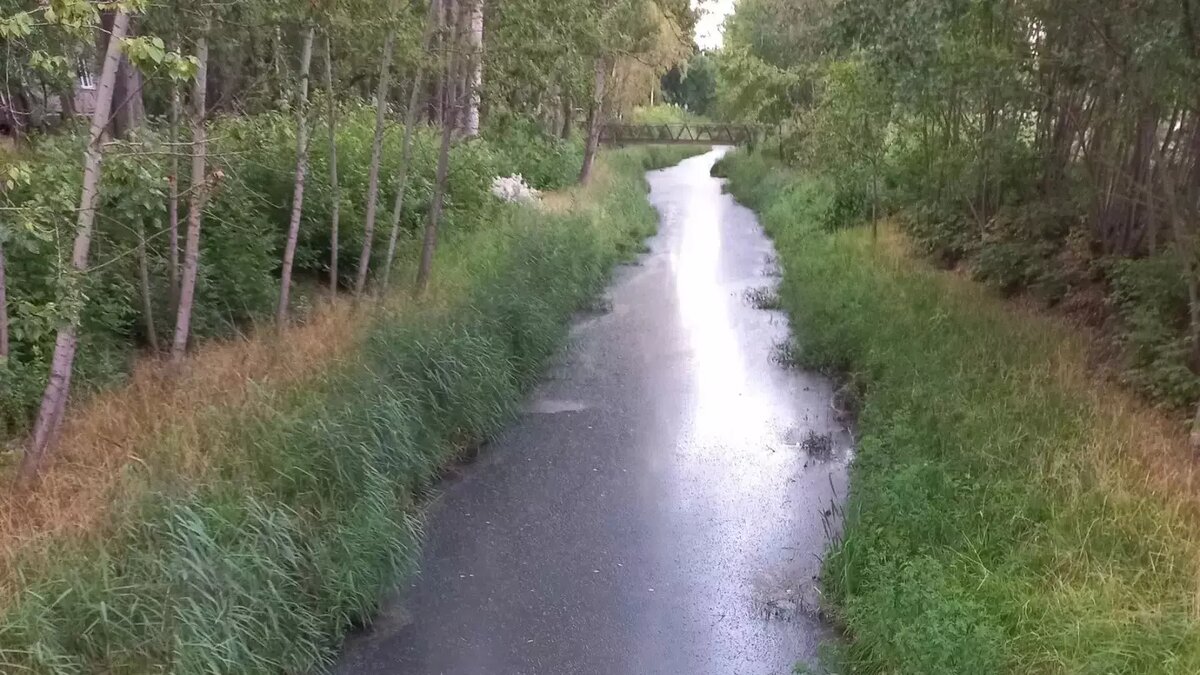     Источник: vk.com/borzovka_nn