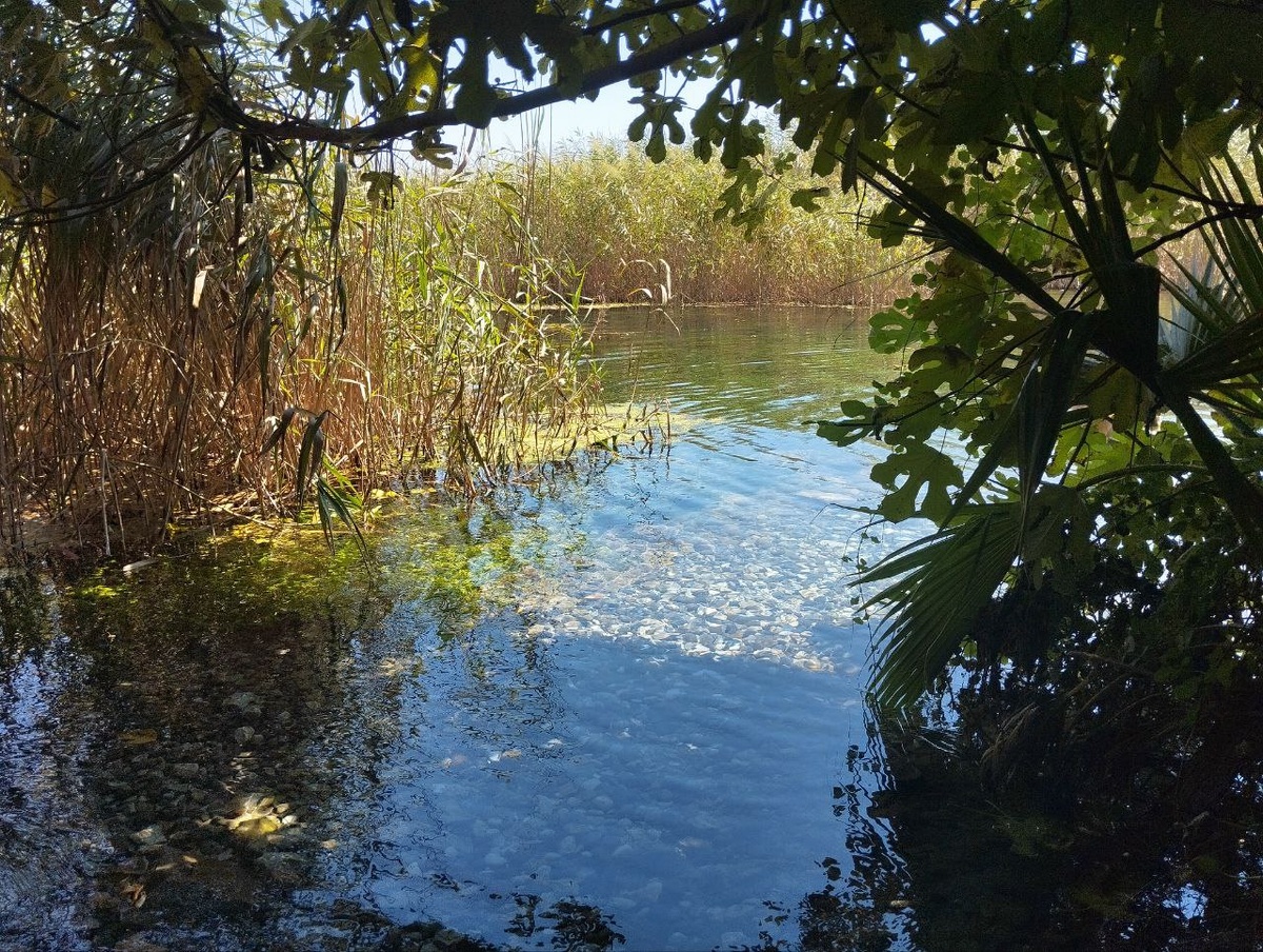 Река Азмак (Azmak Nehri), фото автора