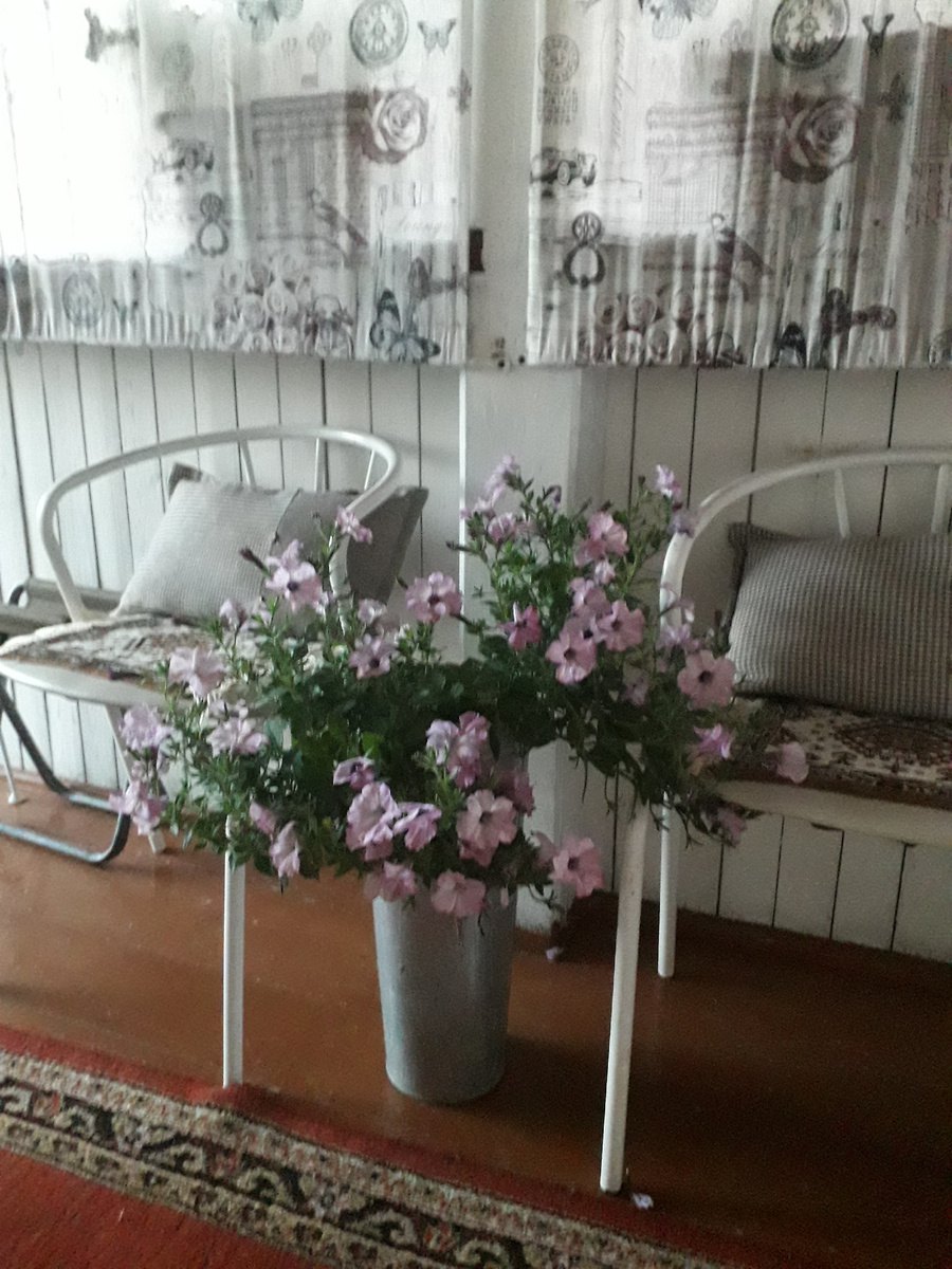 Тайдал , спрятала на терассе, но ей не хватает света.