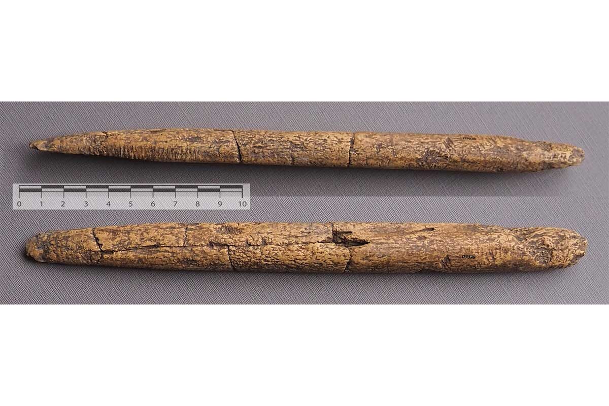 Scott Byram / Scott Byram / Plos One📷Два вида повторно собранного скошенного костяного древка