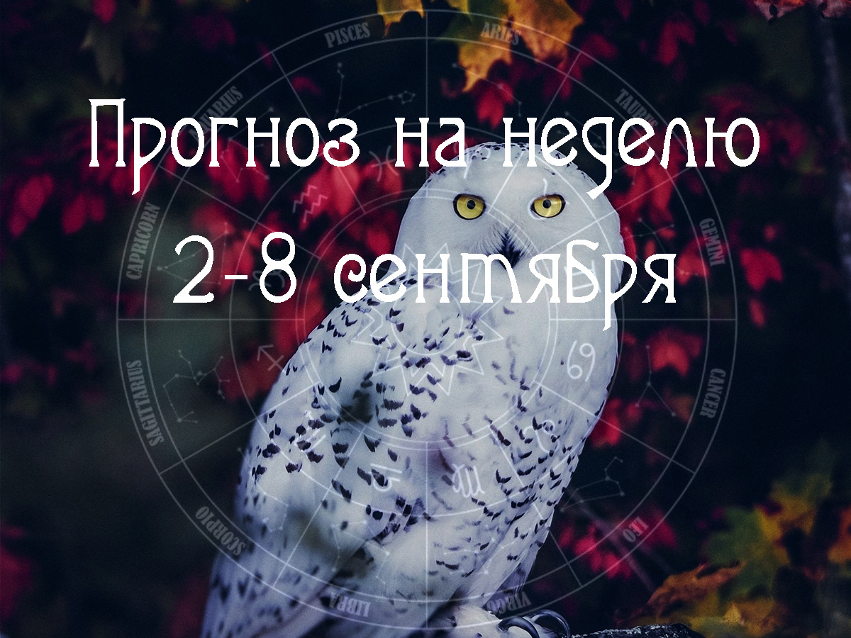 Астрологический прогноз на 2 – 8 сентября 2024 года