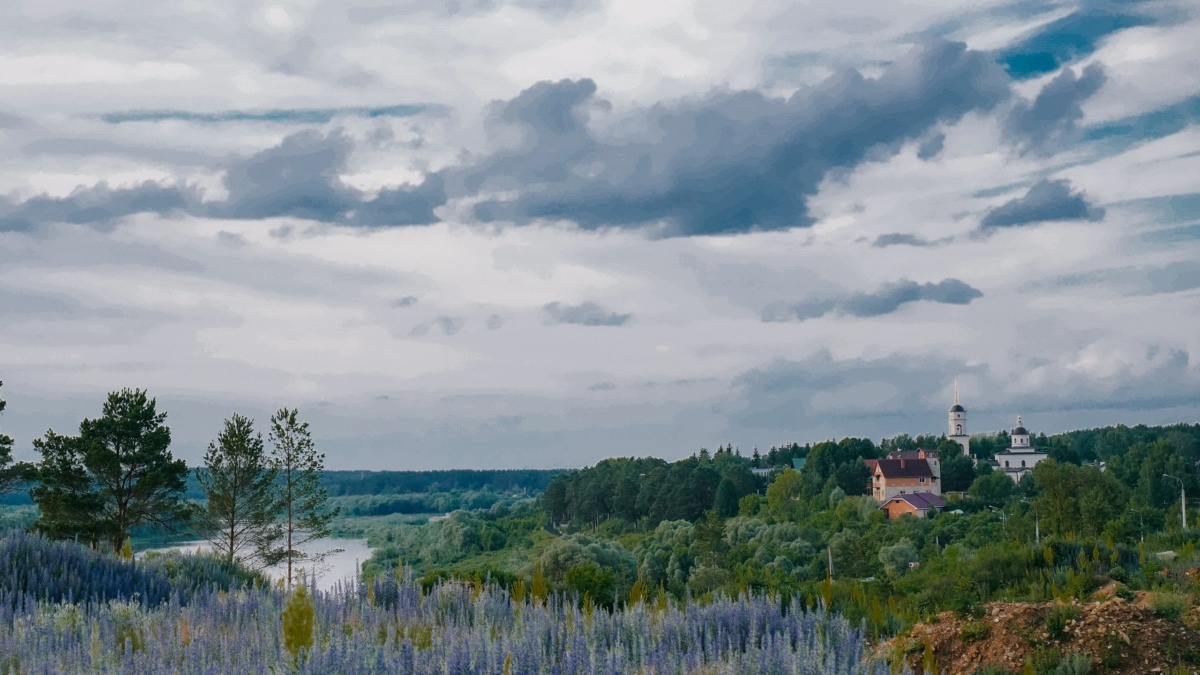 Светлана Мулыкина📷
