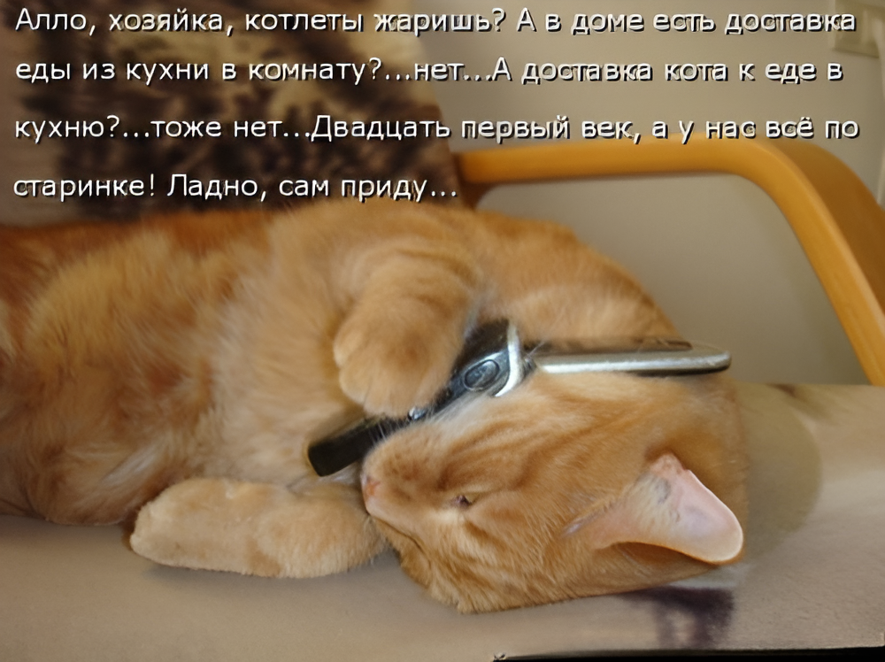  (Источник фото: kotomatritsa)
