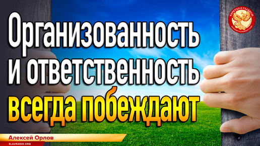 Организованность и ответственность всегда побеждают. Алексей Орлов