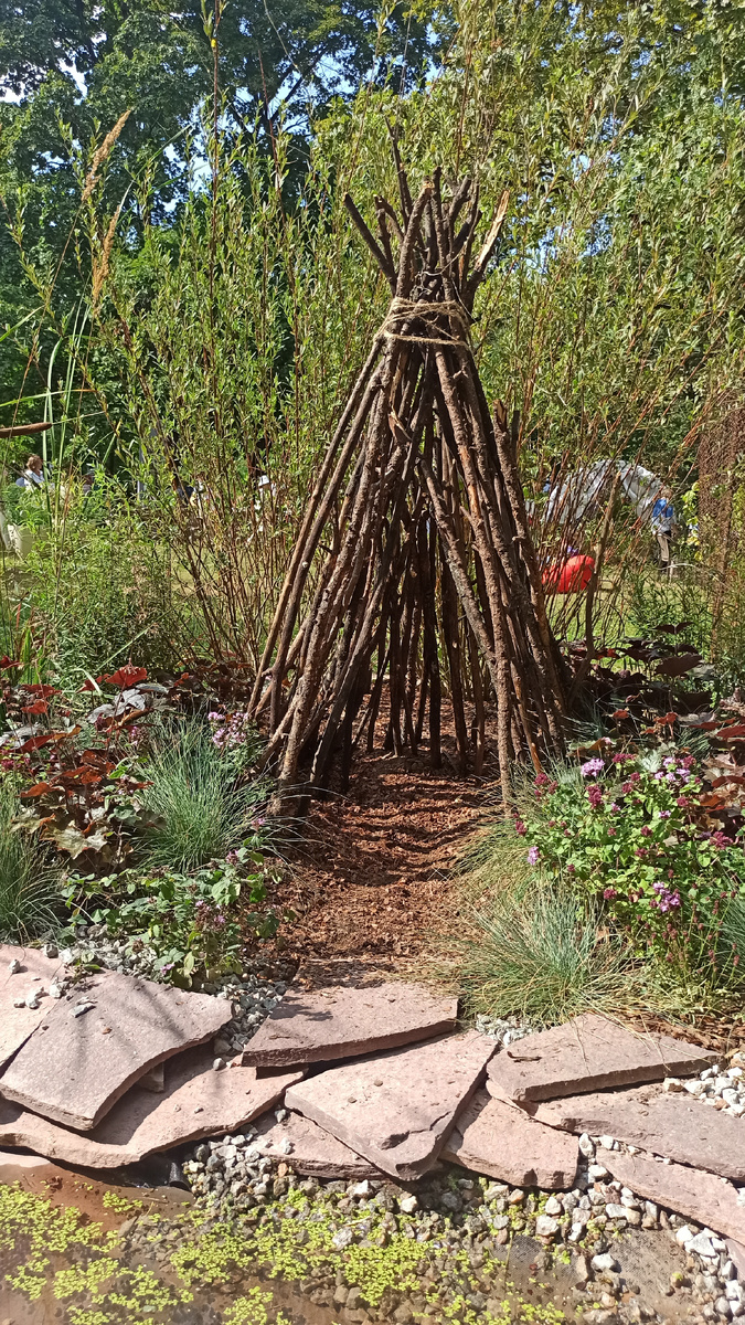 Сад-новичок