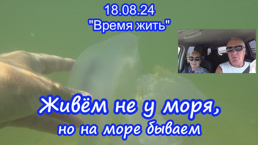 22.08.24 Живём не у моря, но на море бываем.