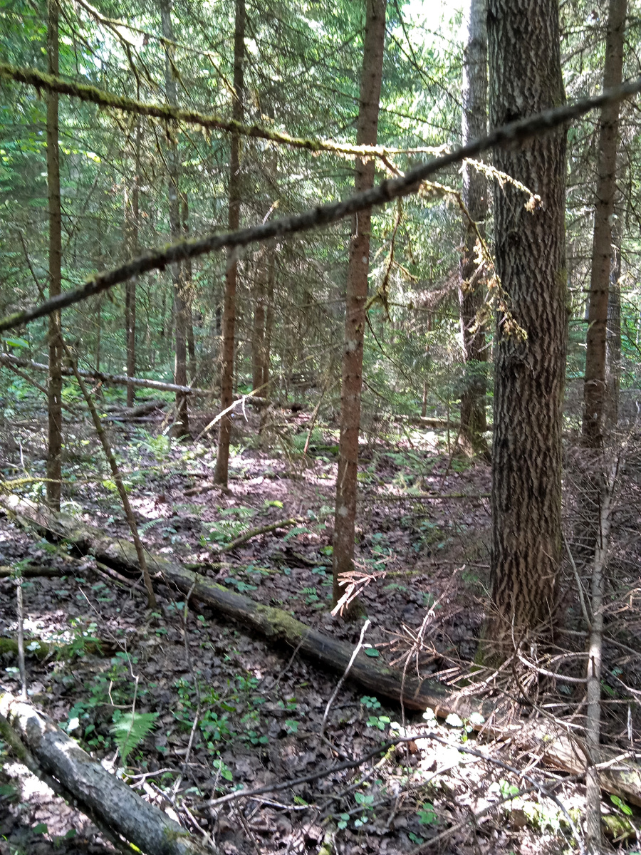 Весь в завалах.