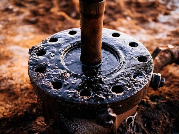    © CC0 / Public Domain Redhawk Investment Group / Pixabay