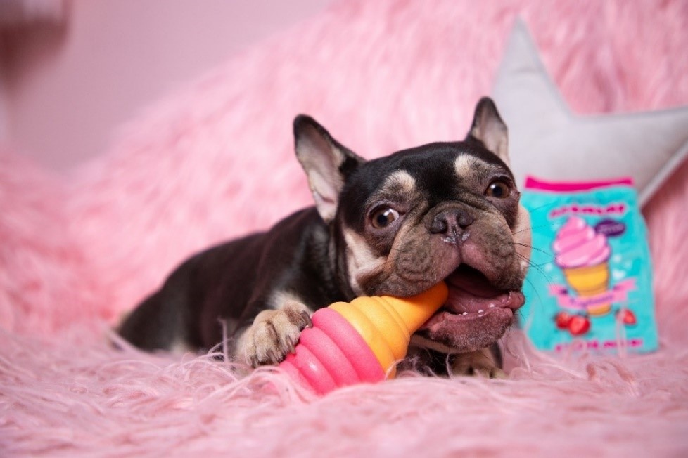 На фото – игрушка с шуршалкой Triol «Пломбир».