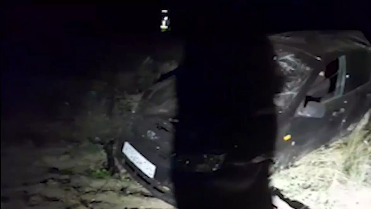     Источник: ГУ МВД по Волгоградской области