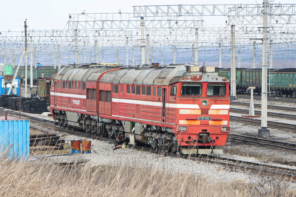 2ТЭ116-1686 компании "Трансойл", станция Уба, 21 апреля 2021. Автор: romik80