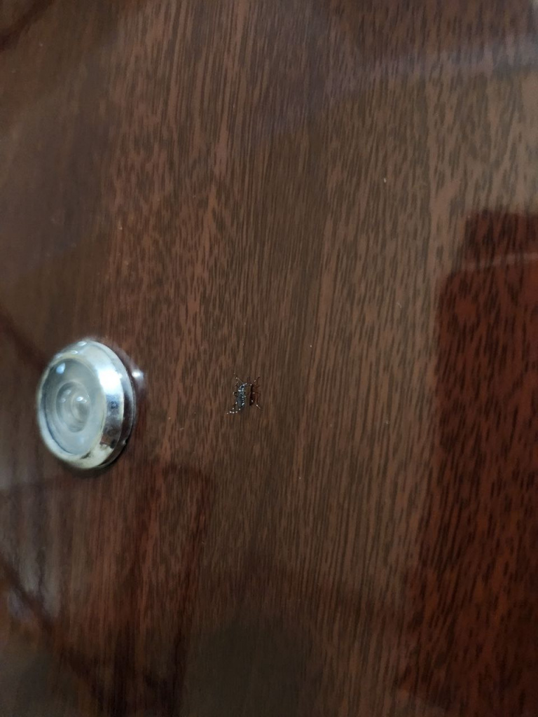 Фото от читательницы