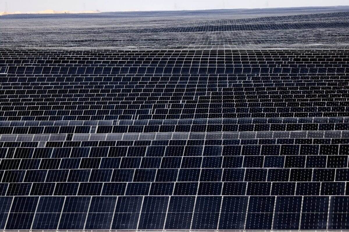    Поля солнечных панелей / © AFP