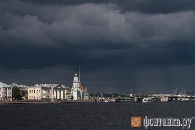    фото: Михаил Огнев / «Фонтанка.ру»