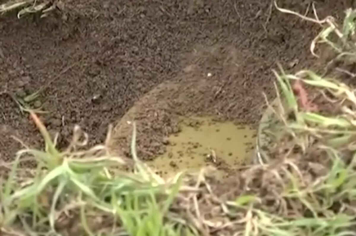    Белгородцу оторвало кисть руки, когда он пытался разобрать найденный снаряд