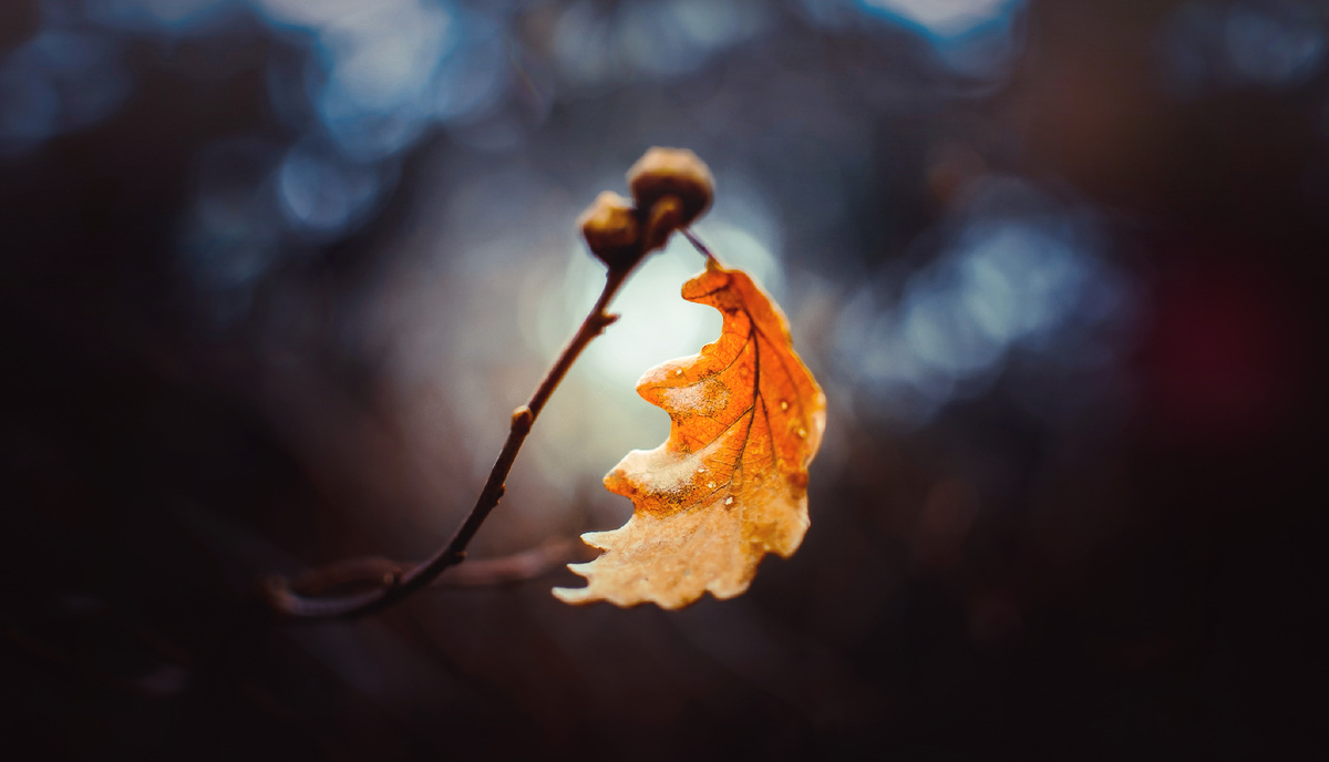 Я пережил свои желанья… Александр Пушкин. Стихотворение.