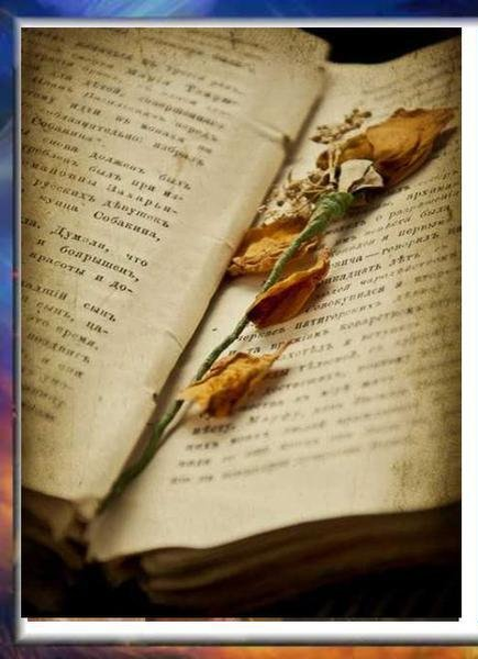 Александр Пушкин. Цветок. Стихотворение