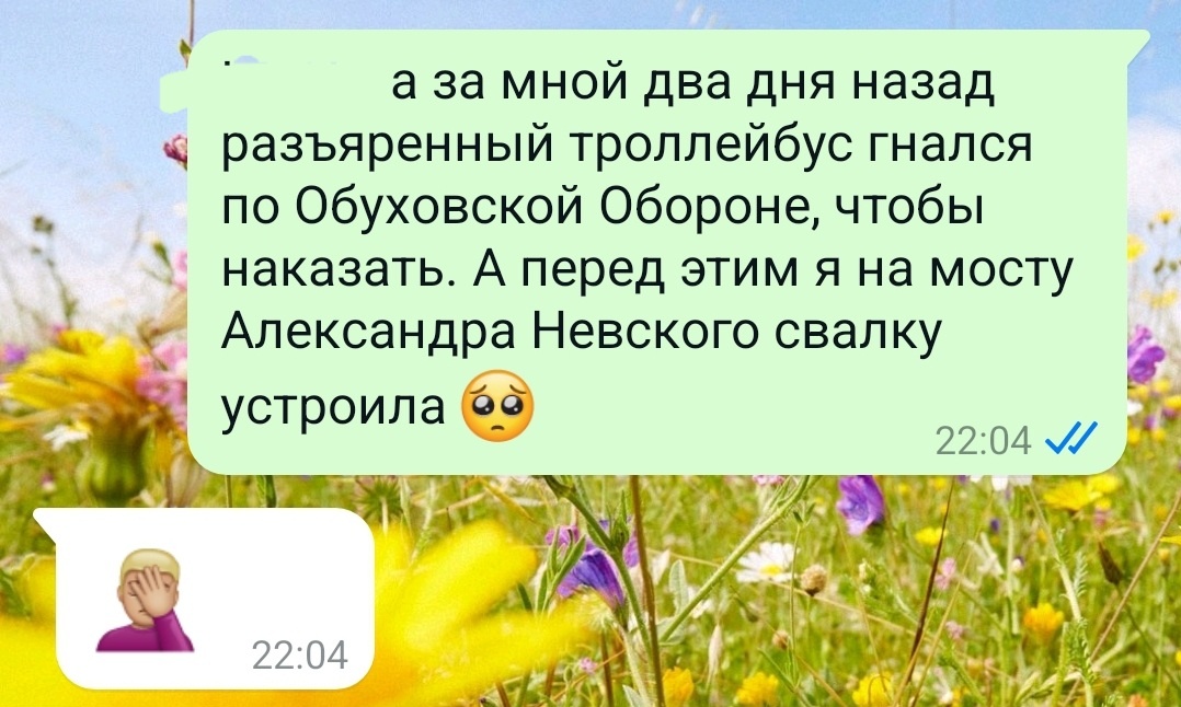 Из переписки с инструктором.