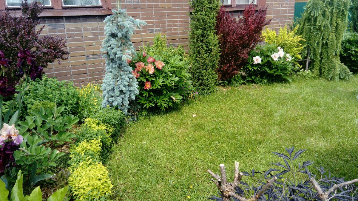 два года назад