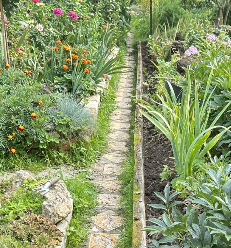 присланное фото