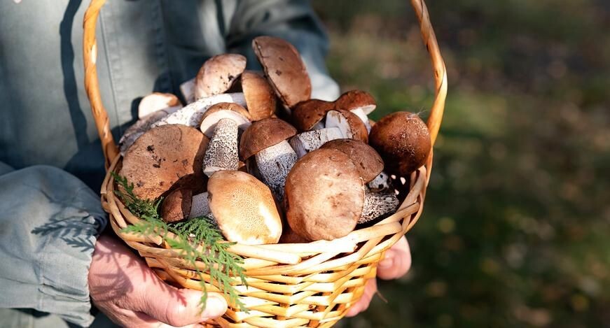    Вербицкая Светлана / Фотобанк Лори