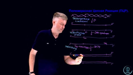 SmartБиохимия - Марафон - День 5. ПЦР