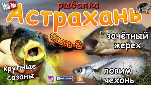 Рыбалка в Астрахани. МЕГА поклёвки САЗАНА на поплавок. Часть 2