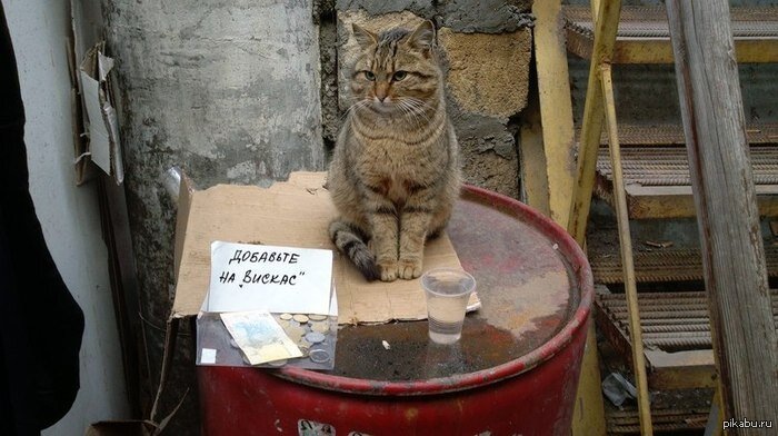 источник Яндекс-картинки