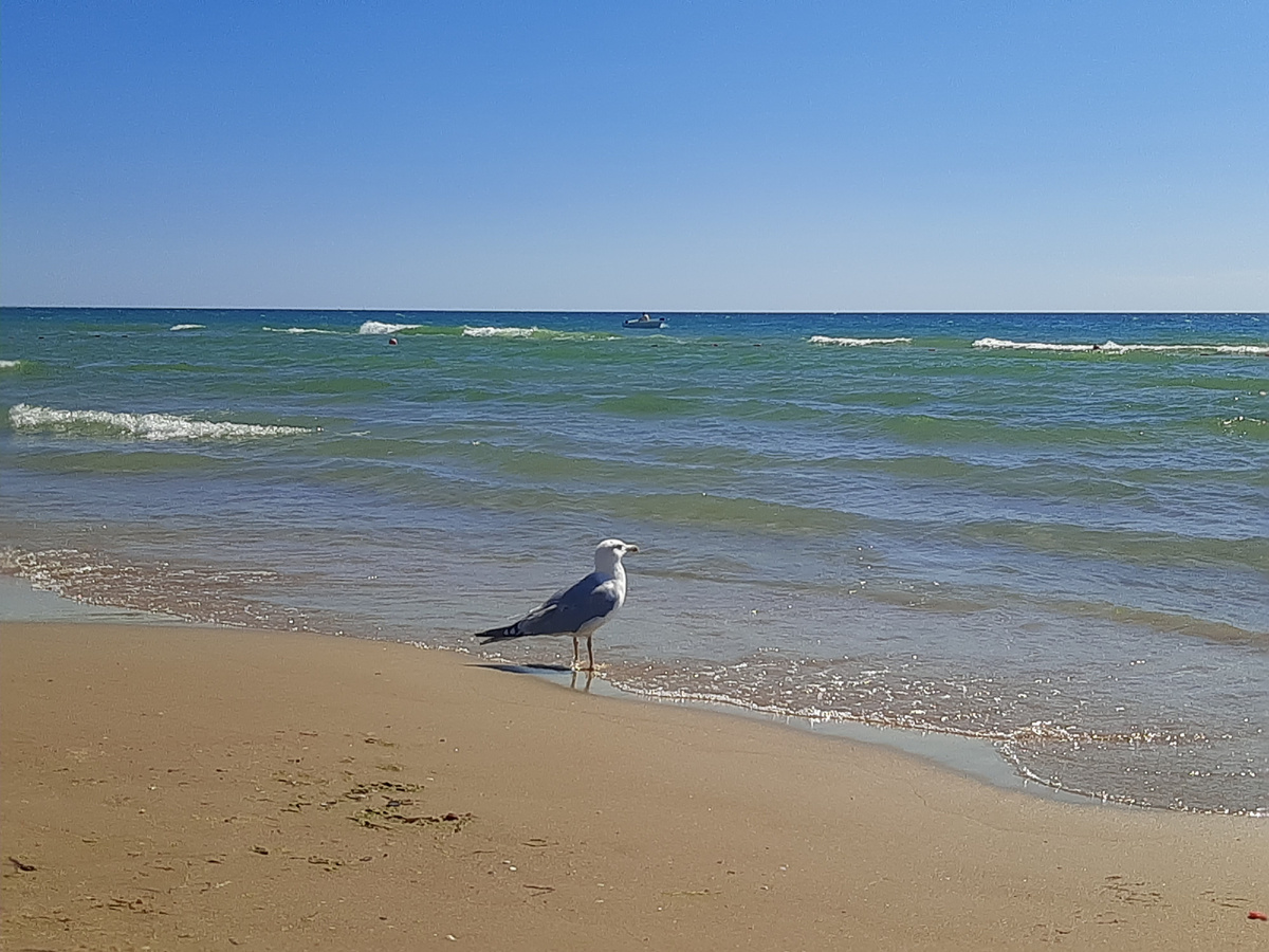 После обеда малолюдно, плюс небольшой шторм.