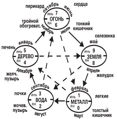 Китайский календарь. Взаимосвязь органов тела и времен года.