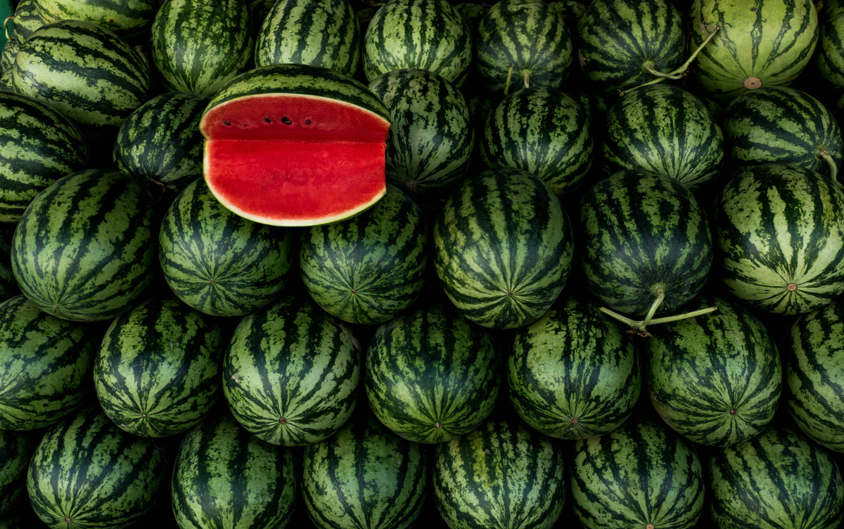Фото: © Crina Miriam Cretu / Unsplash