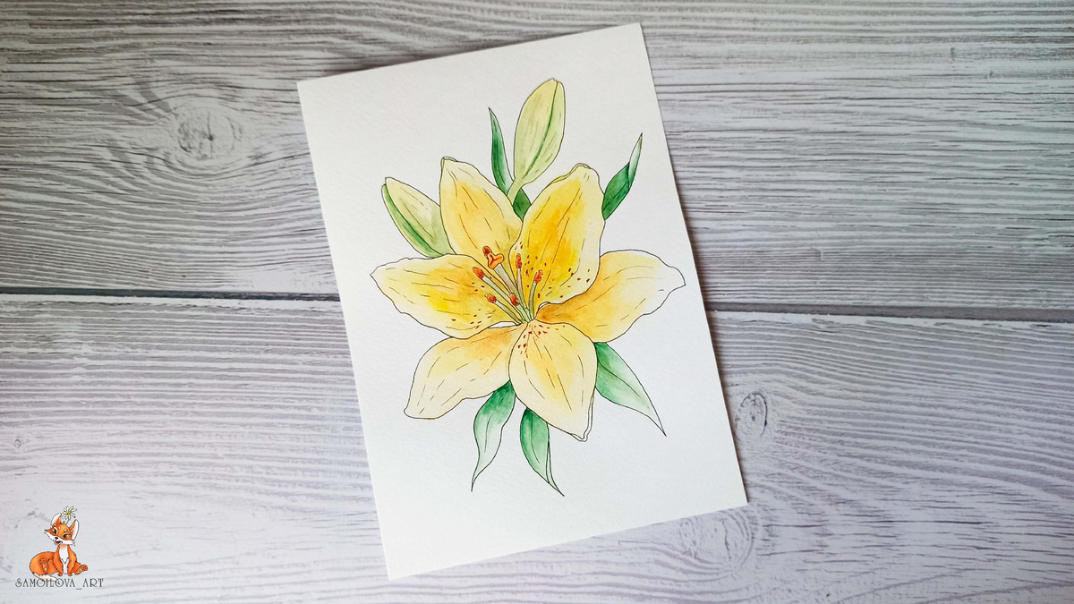 Тема №4, садовые цветы, лилия