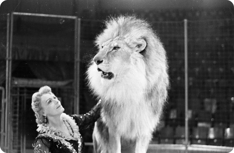 Ирина Бугримова в цирке