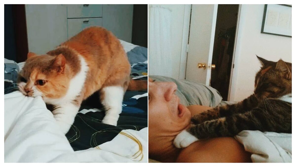 Из открытых источников