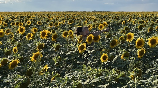 ПОДСОЛНУХИ 🌻 Фотосессия/ Такая красота. Поля, бескрайние поля - Успенка 21 августа 2024