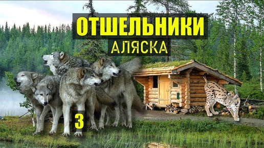 МЕНЯ СПАСЛИ СОБАКИ в ТАЙГЕ АЛЯСКА ОТШЕЛЬНИКИ САМОРАЗВИТИЕ ДОМ в ЛЕСУ КНИГА ИСТОРИИ из ЖИЗНИ СЕРИАЛ 3