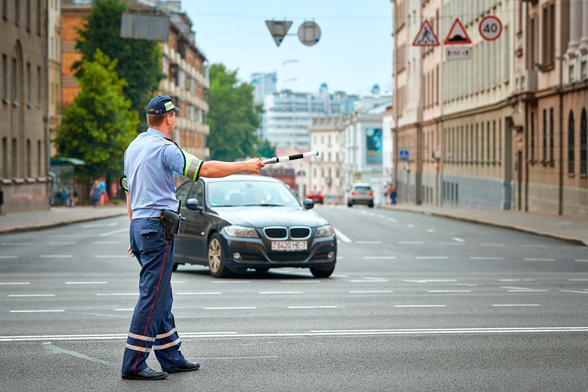    Фото: Tricky_Shark / Shutterstock.com