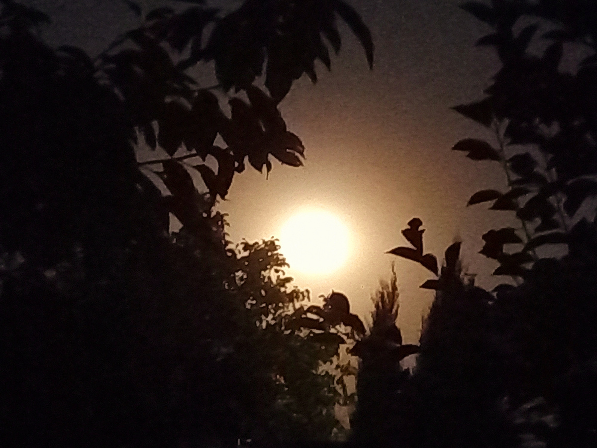 Осетровая луна 21 августа 2024 года  Фото автора канала Птичка Степная 