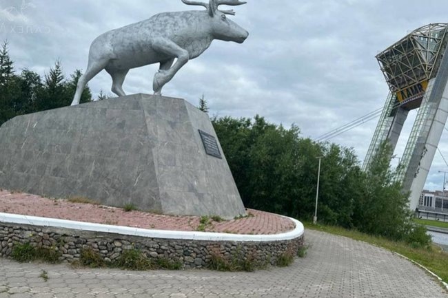    Салехард северный олень ЯНАО