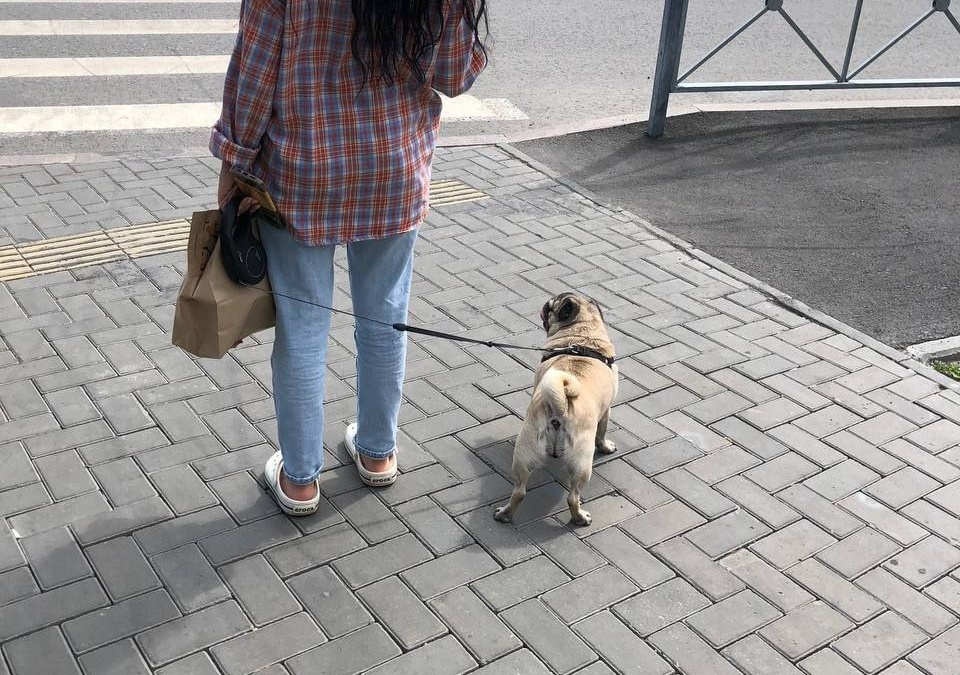 ИА SM-News Тюмень📷
