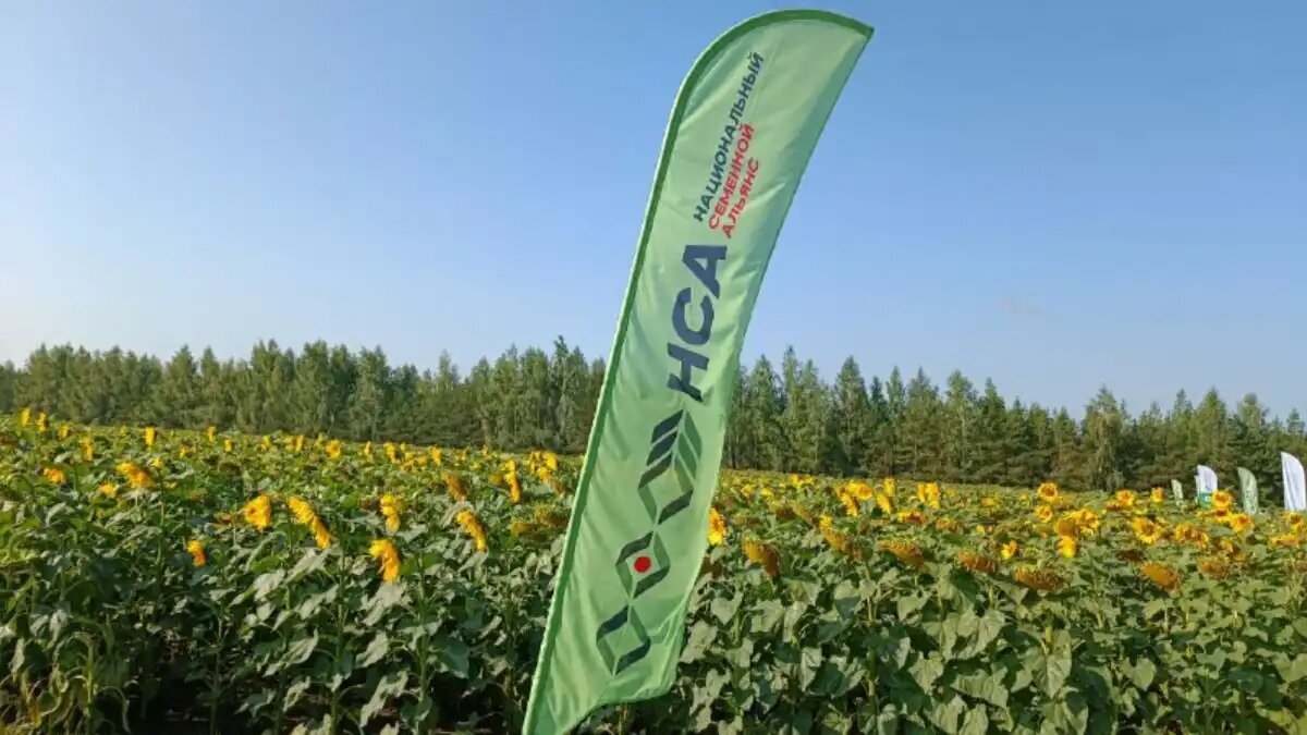  Фото:© Светлана Даренских / Glavagronom.ru
«Национальный семенной альянс» на форуме «Русское поле 2024»