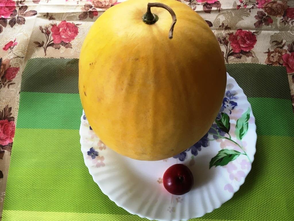 Диаметр этого блюда для торта — 30 см, яблоко для оценки размера арбуза Подарок Солнца