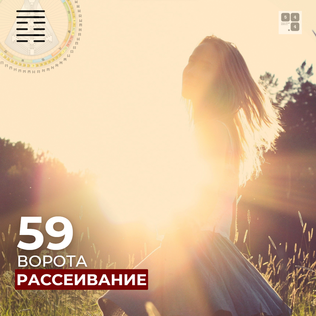 59 Ворота. Рассеивание #дизайнчеловека