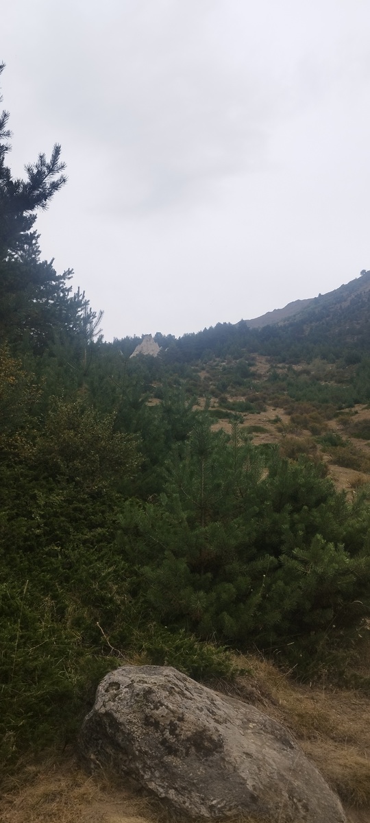 Вот туда, где белая горка наверху. Тот самый песчаный замок. 