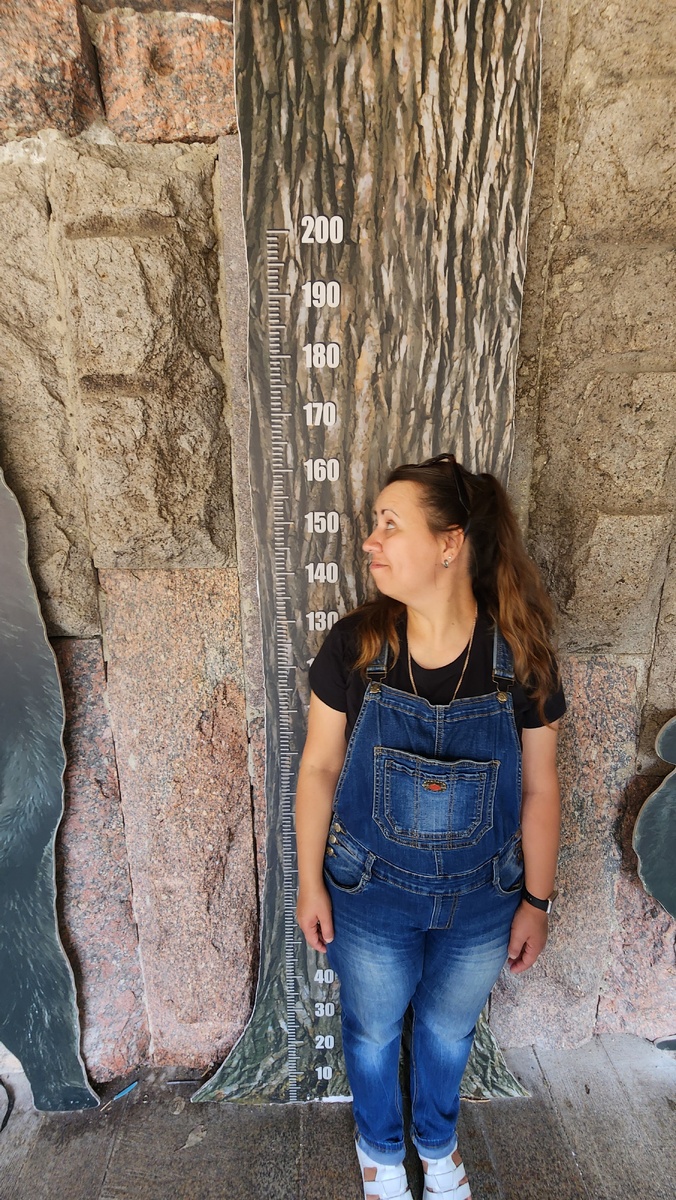 Вот такой я гном😂 Руководитель я строгий, но справедливый и добрый😂